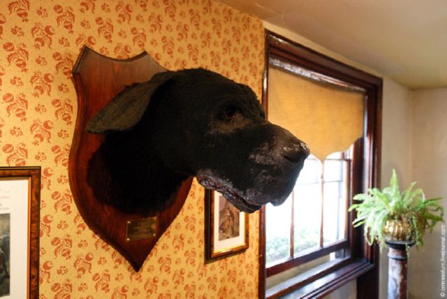 http://relaxic.net/wp-content/uploads/2011/04/sherlock-holmes-30.jpg