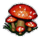p6.gif