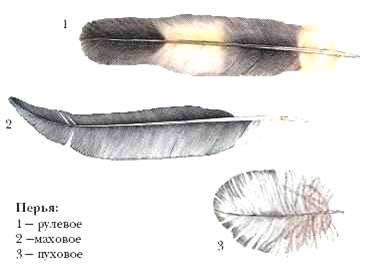 http://www.e-reading.mobi/illustrations/74/74307-p_015.jpg