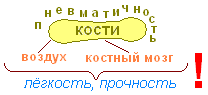http://biouroki.ru/content/page/736/04.png