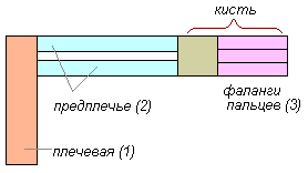 http://biouroki.ru/content/page/736/06.png