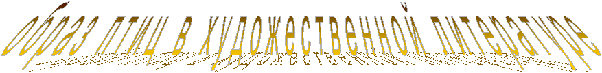 о