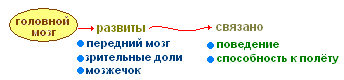 http://biouroki.ru/content/page/736/15.png