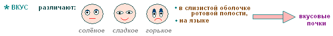 http://biouroki.ru/content/page/736/18.png