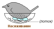 http://biouroki.ru/content/page/736/21.png