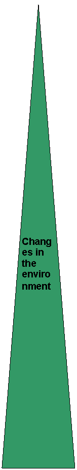 Равнобедренный треугольник: Changes in the environment