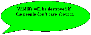 Овальная выноска: Wildlife will be destroyed if the people don’t care about it.