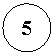 ����: 5