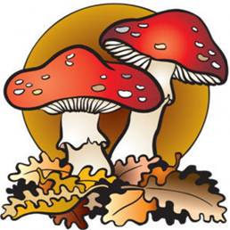 http://static.freepik.com/darmowe-zdjecie/_91835.jpg