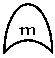 Месяц: m