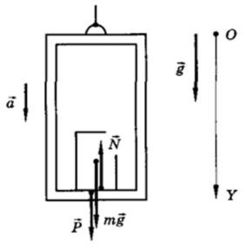 "Img Ves Ref 004.jpg"