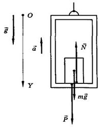 "Img Ves Ref 005.jpg"
