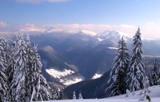 "Панорама"