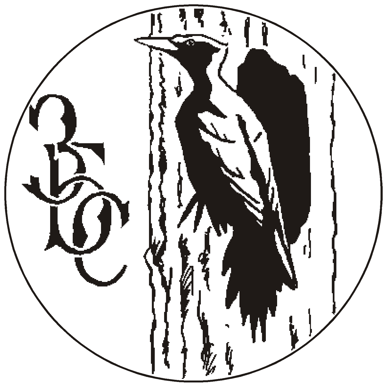 Edu bio msu ru — ImgHub.ru