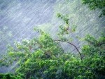 Смотреть оригинал фото на сайте: 31.mchs.gov.ru
