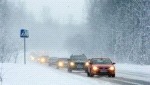 Смотреть оригинал фото на сайте: 31.mchs.gov.ru