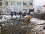Смотреть оригинал фото на сайте: 31.mchs.gov.ru