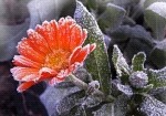 Смотреть оригинал фото на сайте: 31.mchs.gov.ru