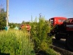 Смотреть оригинал фото на сайте: 31.mchs.gov.ru