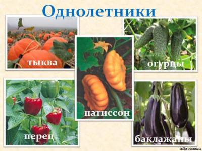 "Нажмите, для просмотра в полном размере..." t