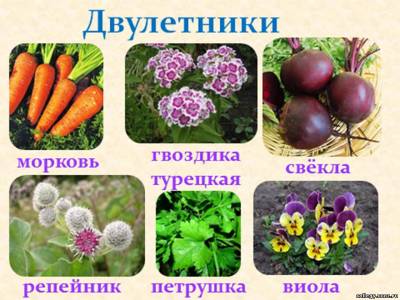 "Нажмите, для просмотра в полном размере..." t