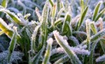 Смотреть оригинал фото на сайте: 31.mchs.gov.ru