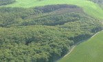 Фото: 31.mchs.gov.ru