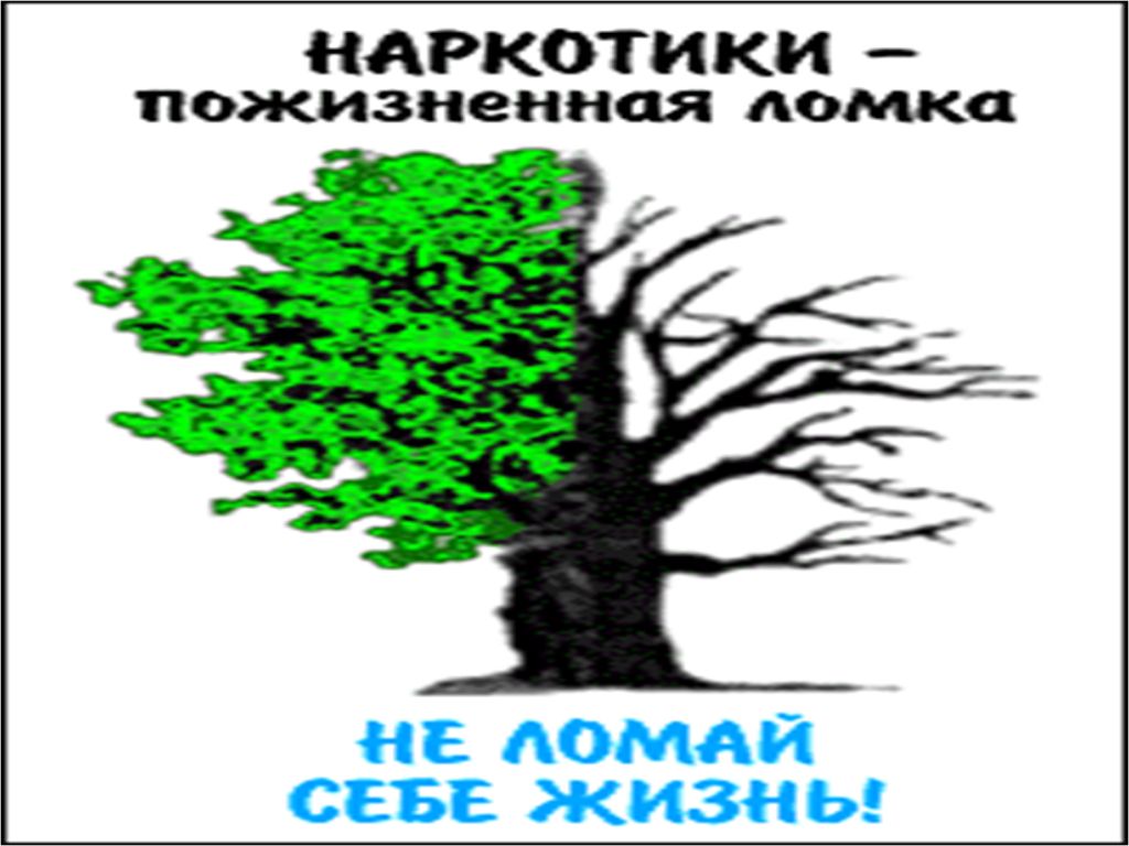 Правила поведения на природе. Ломать деревья. Рубить сук на котором сидишь. Сломать человека цитаты. Так и людей ломает от обид.